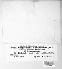Image Associated With the Occurence